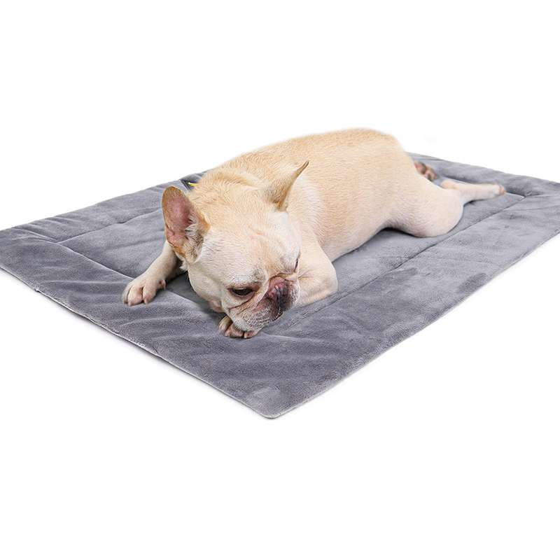 Lit Chauffant pour Animaux de Compagnie