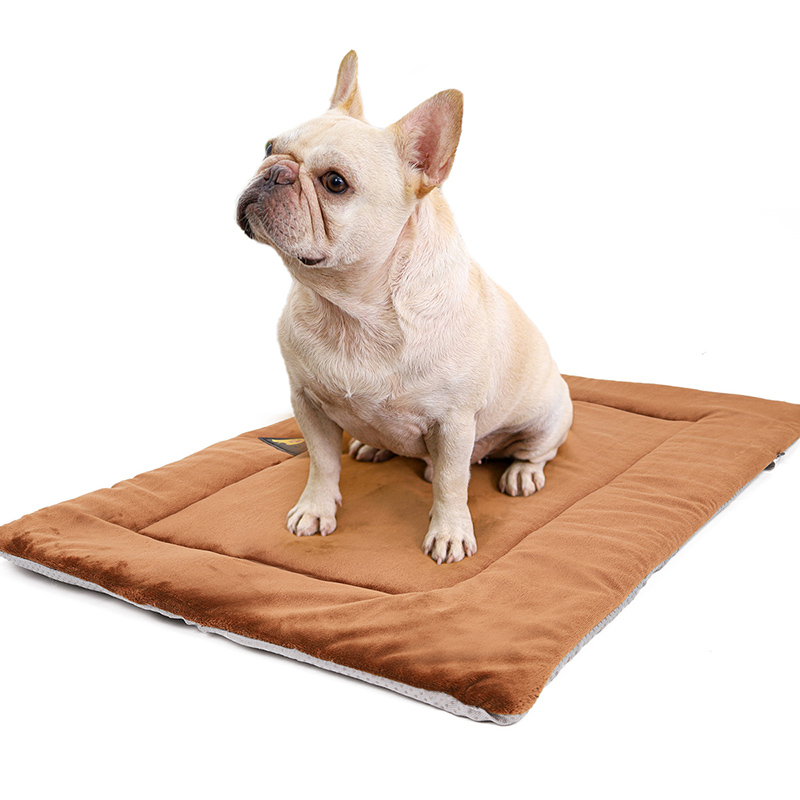 Lit Chauffant pour Animaux de Compagnie