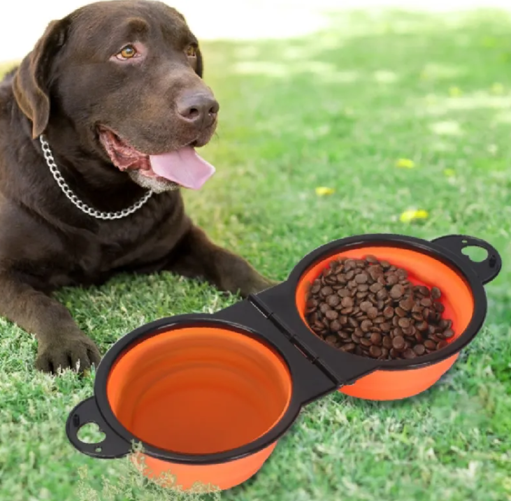 Distributeur de nourriture pour animaux en plein air